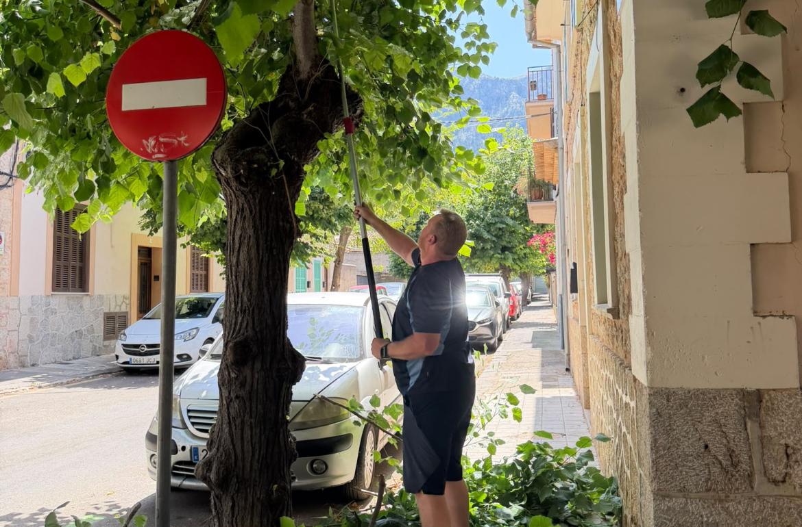 soller