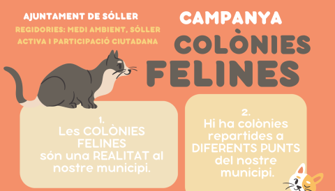 colonies felines