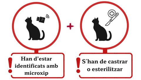 moixos sóller