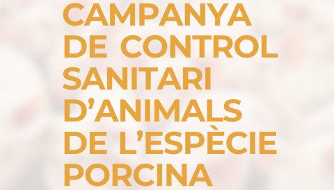 Ha arribat l'època de les tradicionals matances